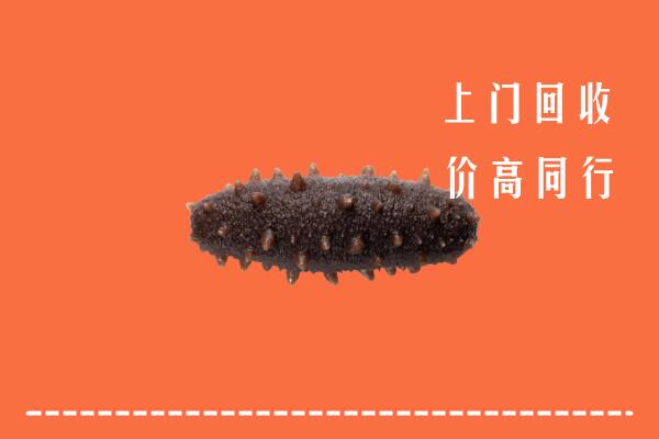 甘孜州新龙县回收海参