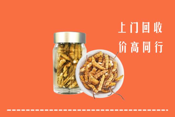 甘孜州新龙县回收冬虫夏草